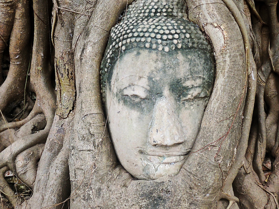 viaggio gruppo Thailandia