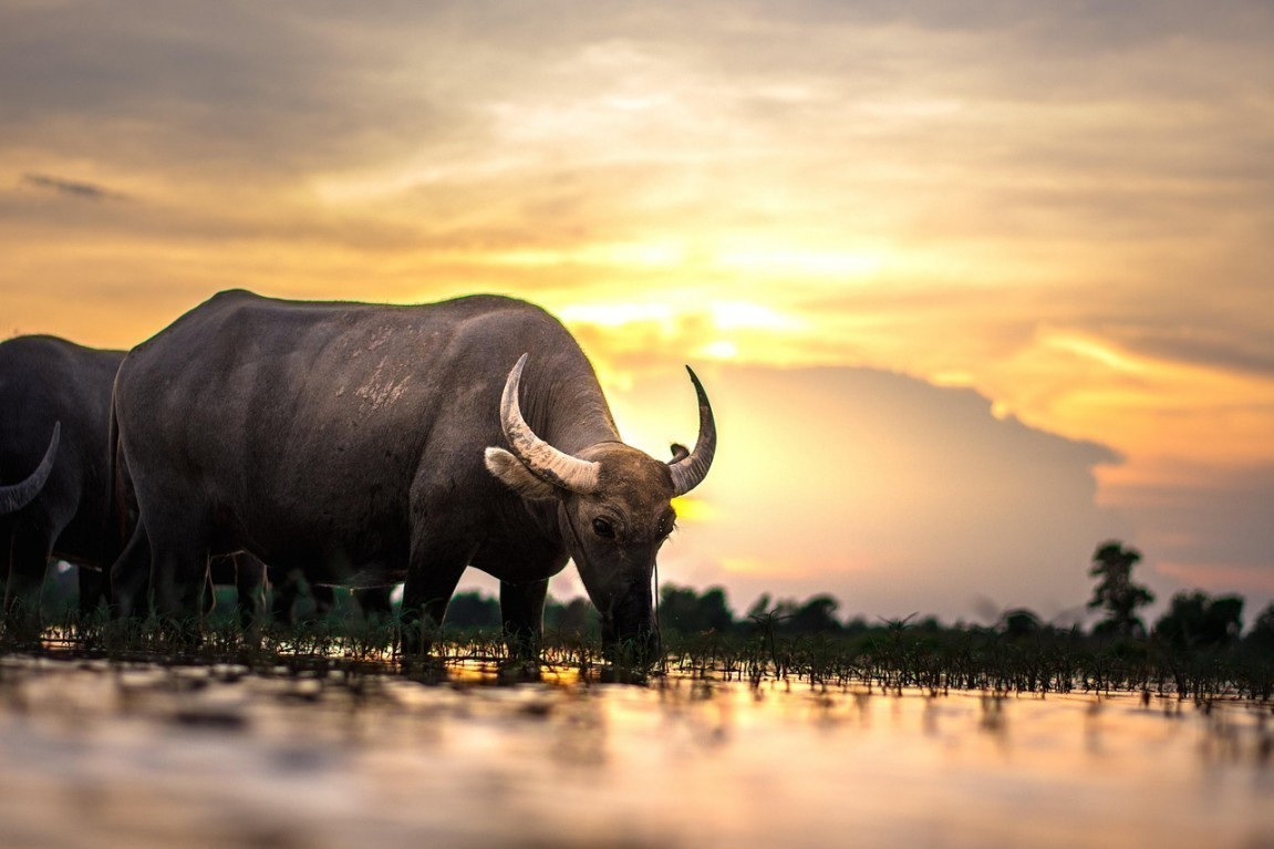viaggio di grupo Laos