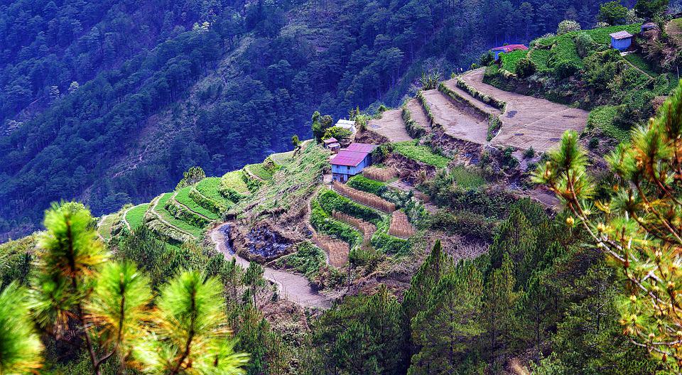tour terrazze riso Filippine