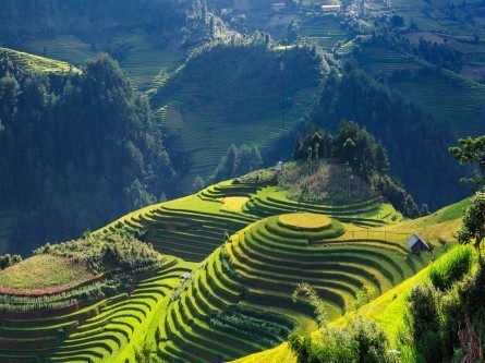 tour di gruppo Vietnam classico