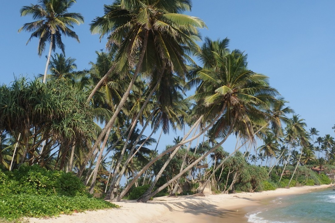 spiagge belle Sri Lanka