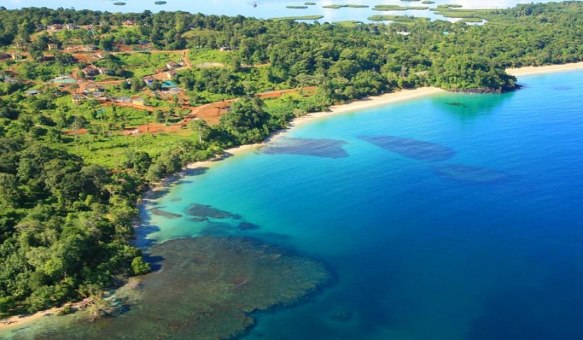 Viaggio organizzato da Panama City all'arcipelago caraibico di Bocas del Toro