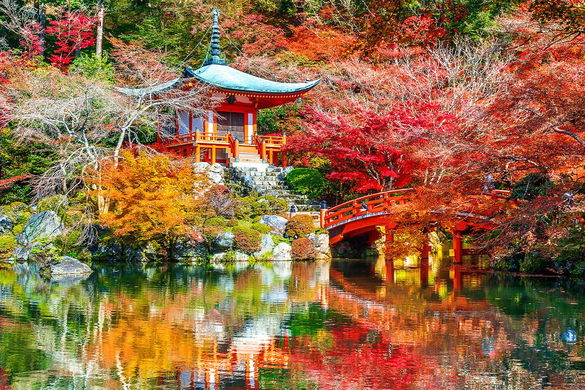 Viaggio di gruppo organizzato in Giappone per ammirare i colori dell'autunno