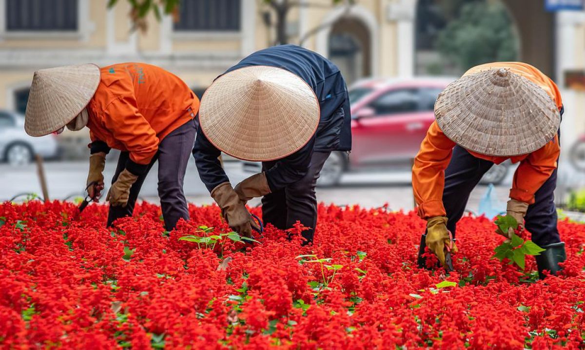 Viaggio di gruppo organizzato dal Vietnam alla Cambogia