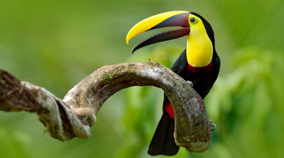 Viaggio di gruppo in Colombia dall'Amazzonia alle bianche spiagge dei Caraibi