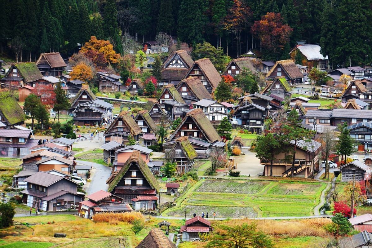 Viaggio di gruppo organizzato in Giappone alla scoperta delle alpi e dell'hanami