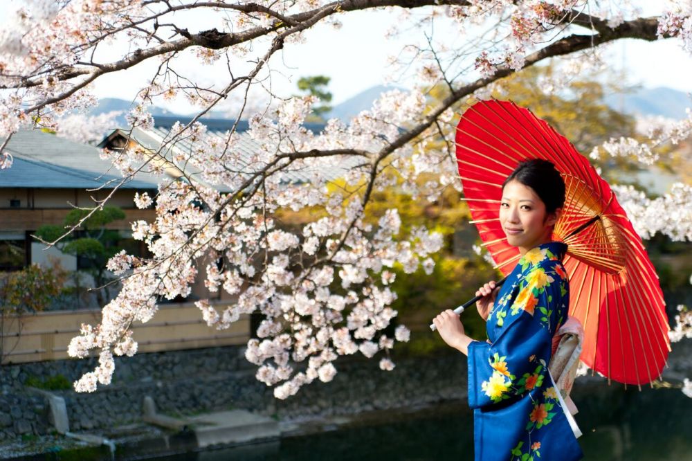 Viaggio di gruppo organizzato in Giappone per ammirare la fioritura dei ciliegi 