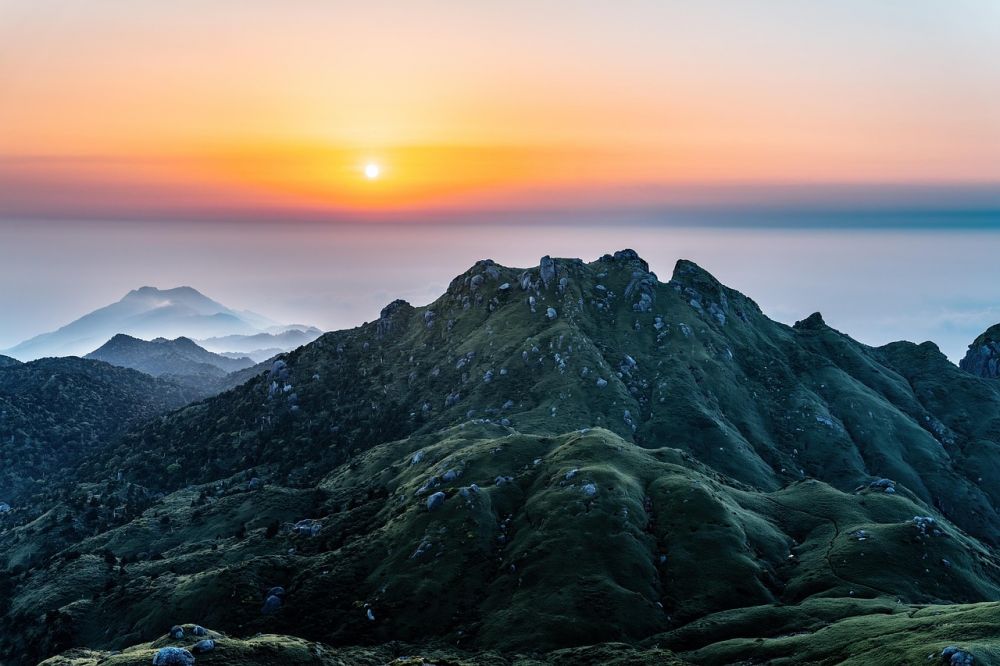 Viaggio in Giappone con soggiorno mare a Yakushima: l&#039;isola dei cedri millenari