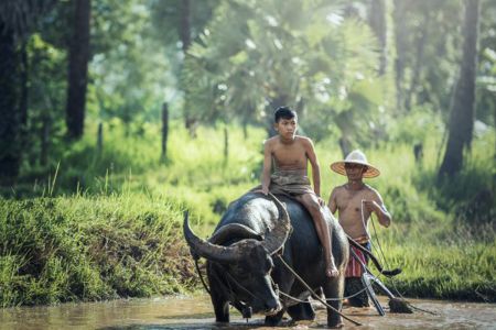 Viaggi in Laos, lungo il lento scorrere del Mekong