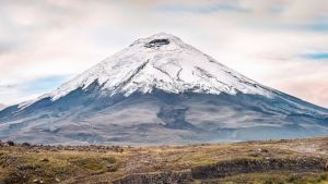 Tour di gruppo Ecuador Amazzonia e Vulcani