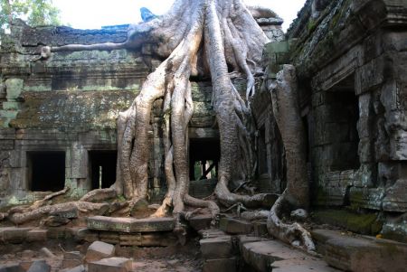 Viaggio combinato Thailandia e Cambogia