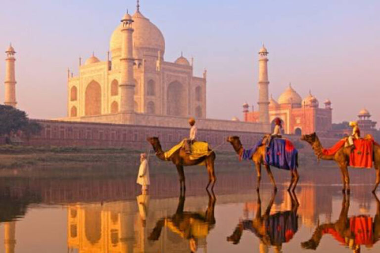 dehli2
