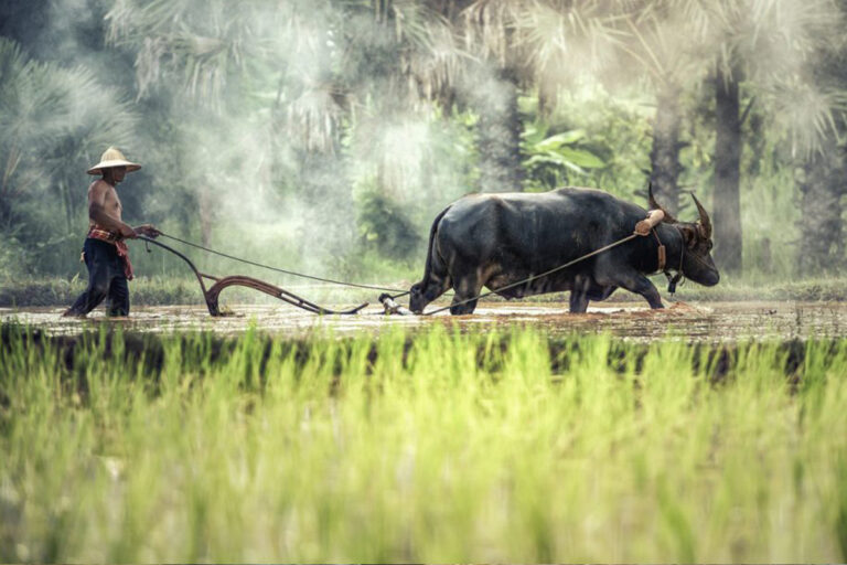 laos1