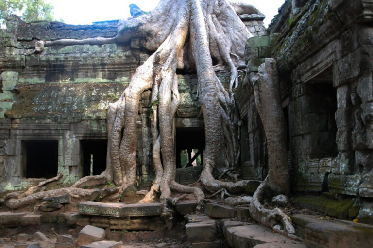 santuario-angkor-wat