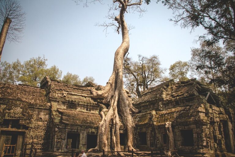 cambodia-4895388_960_720