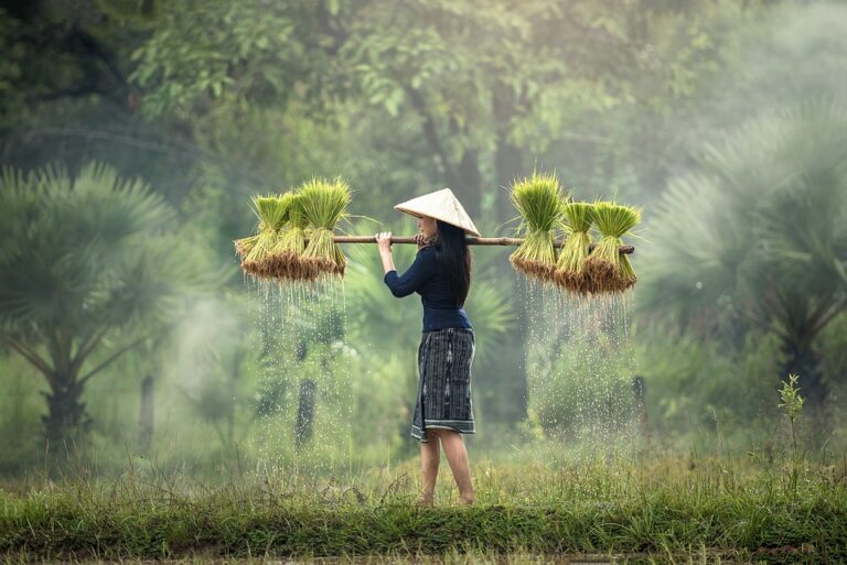 harvesting-1822578_960_720