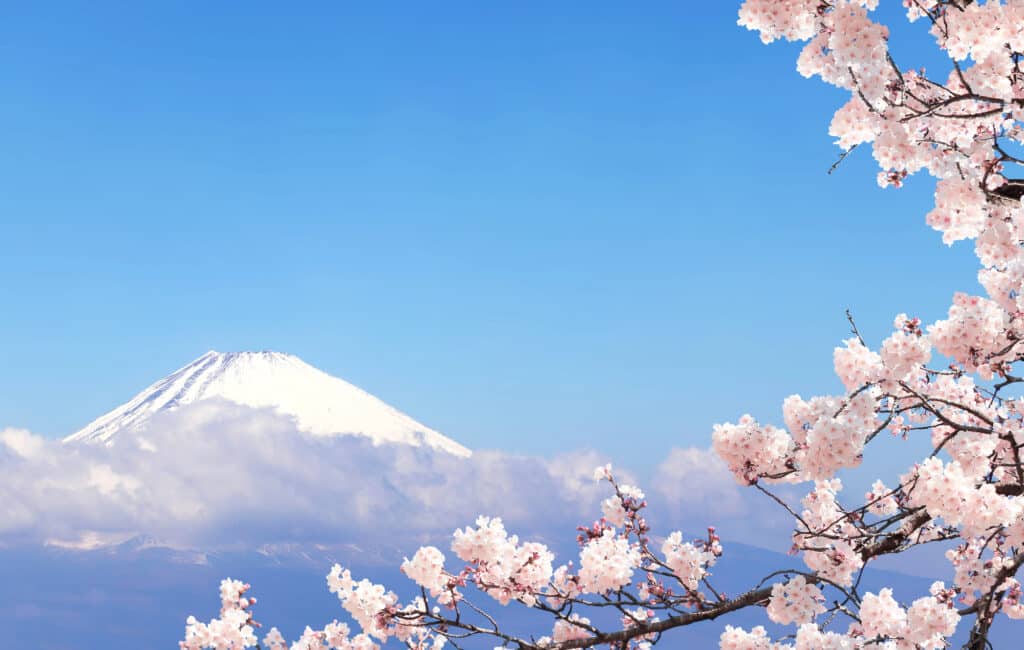 giappone hanami