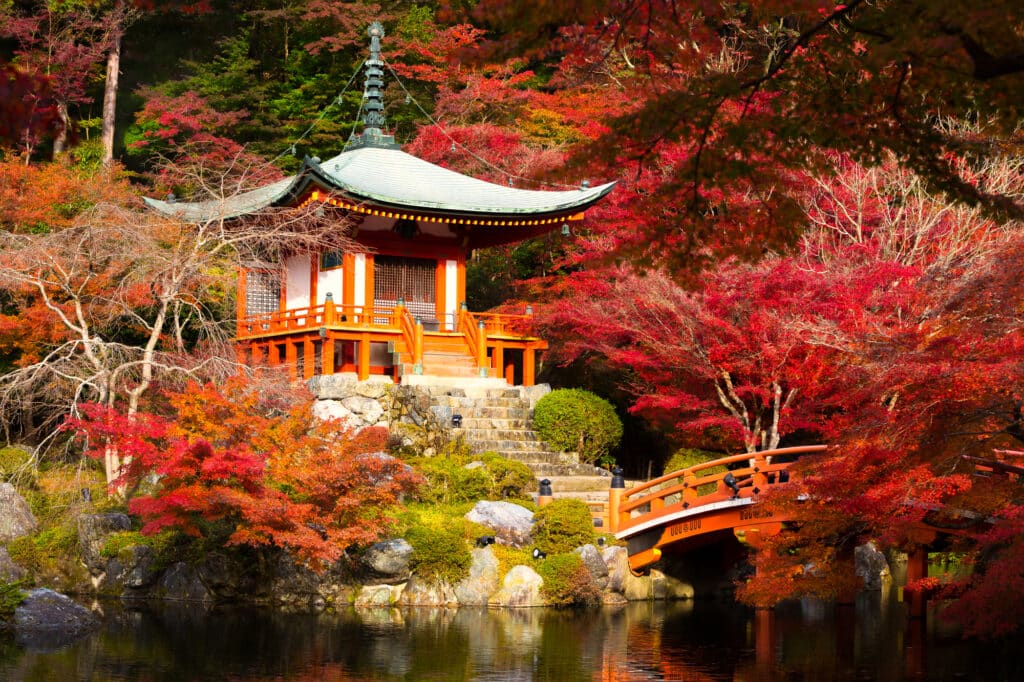 Giappone viaggio autunno momiji