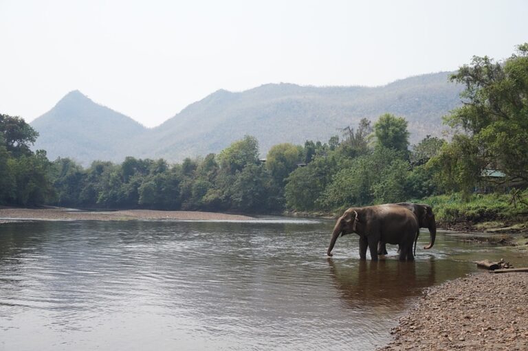 thailand-997410_960_720