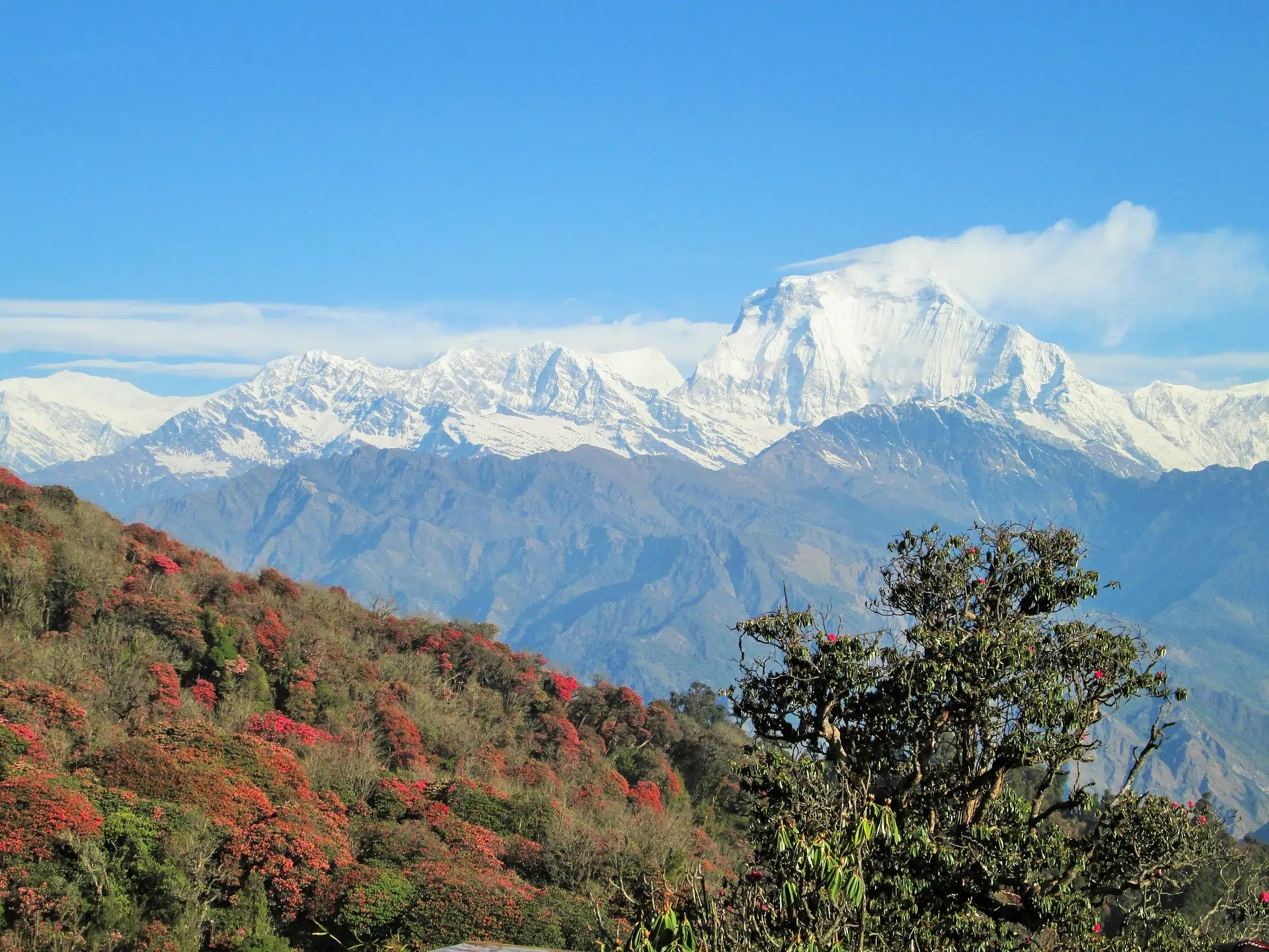 tour di gruppo in Nepal con accompagnatore esperto e guide locali