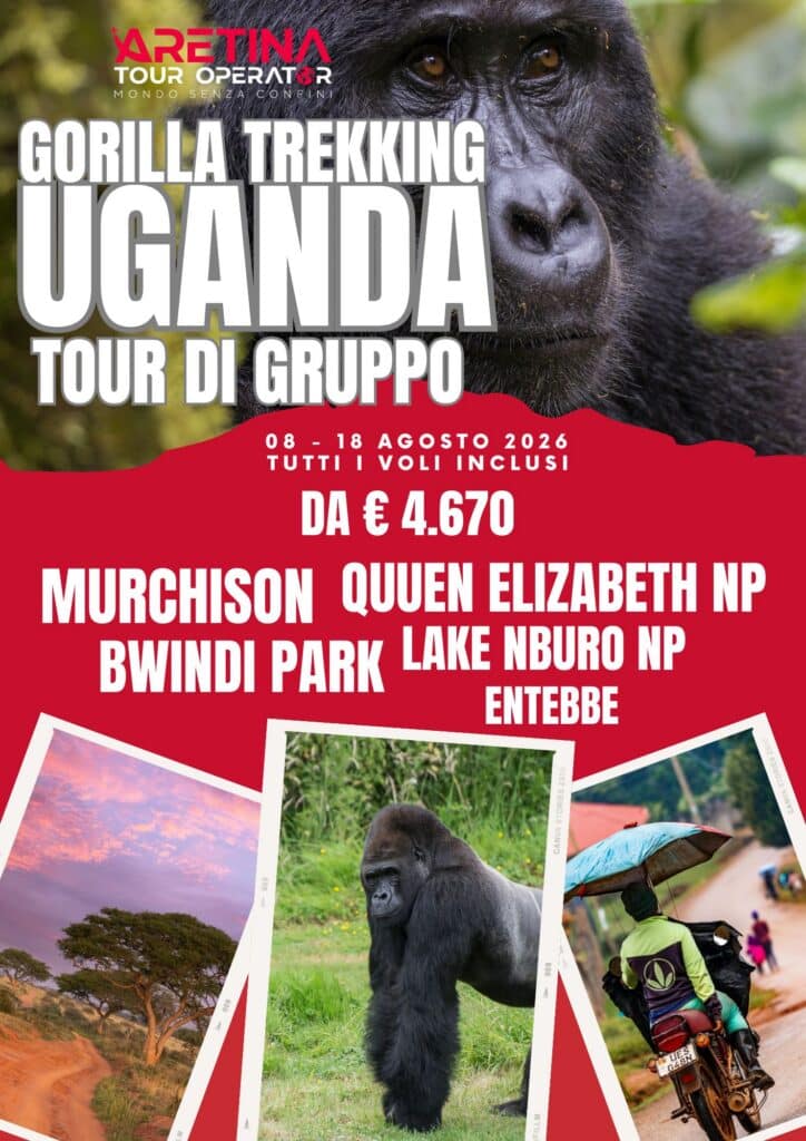 viaggio in Uganda per vedere i gorilla