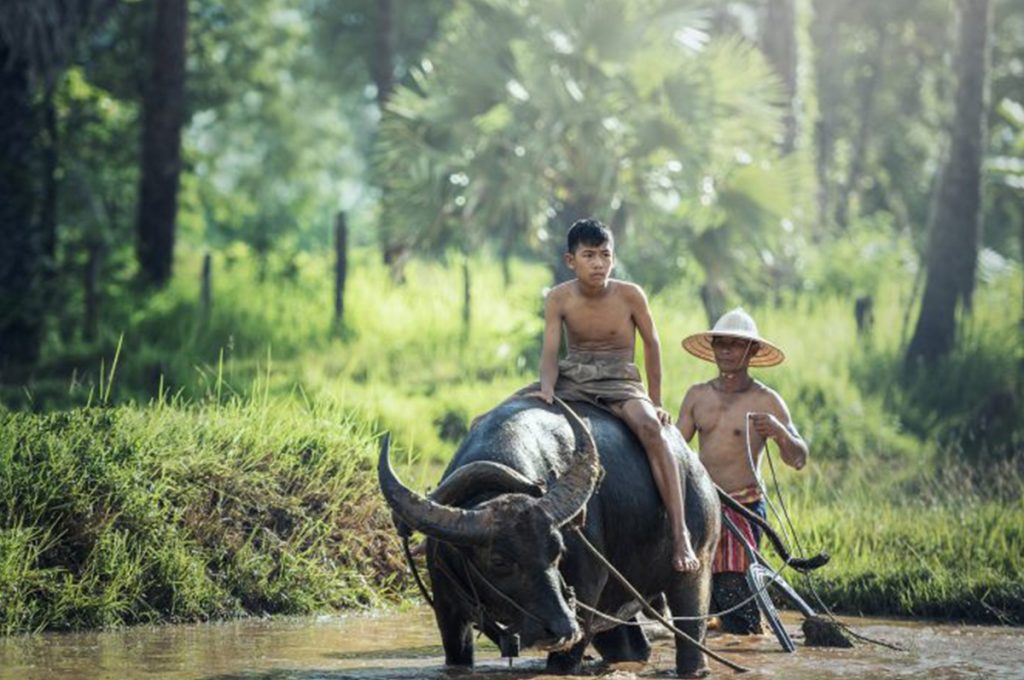 Tour Laos Experience