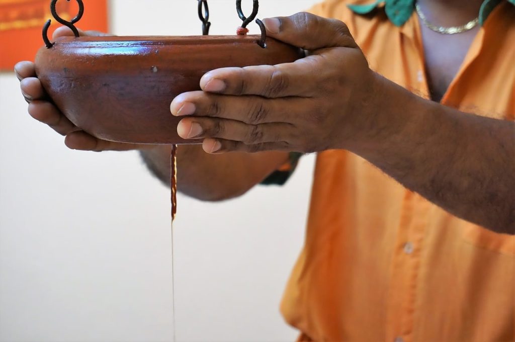 Tour Inda & Ayurveda