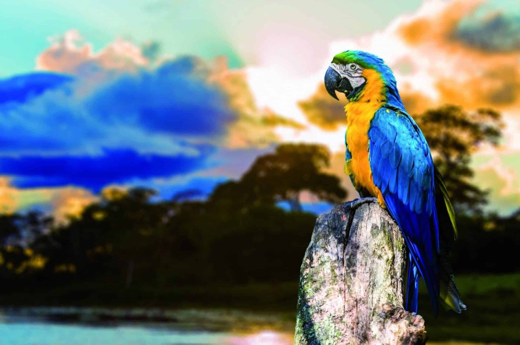 Tour Colombia Meraviglie Nascoste