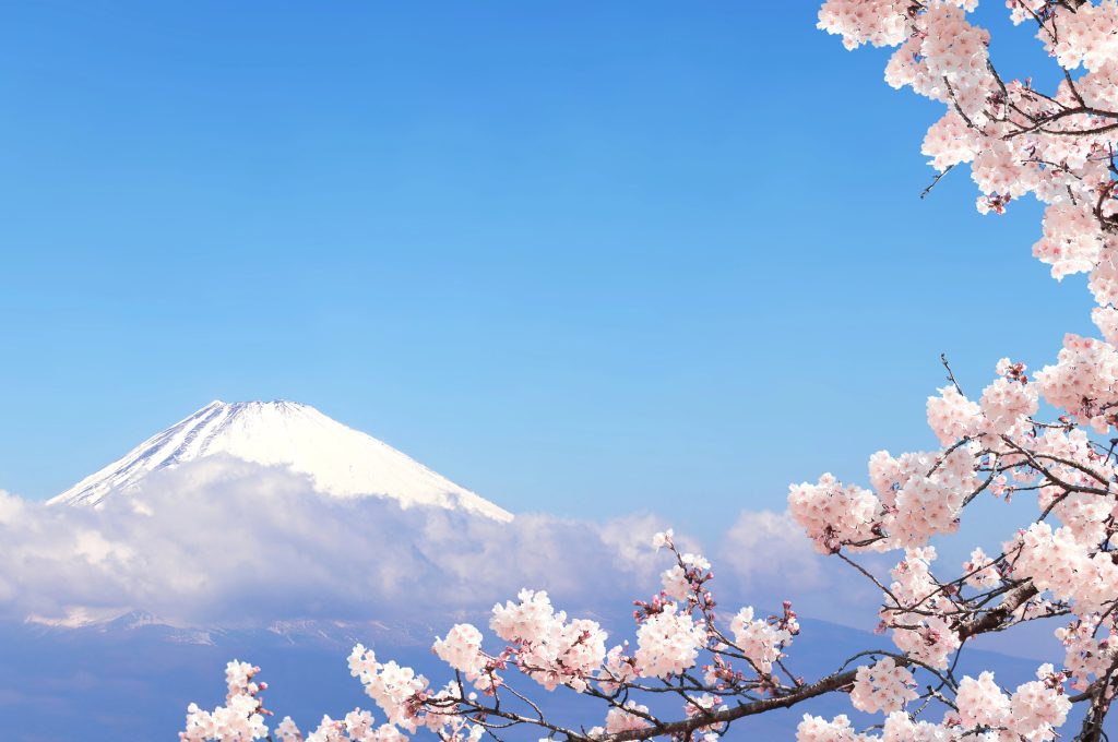 giappone hanami